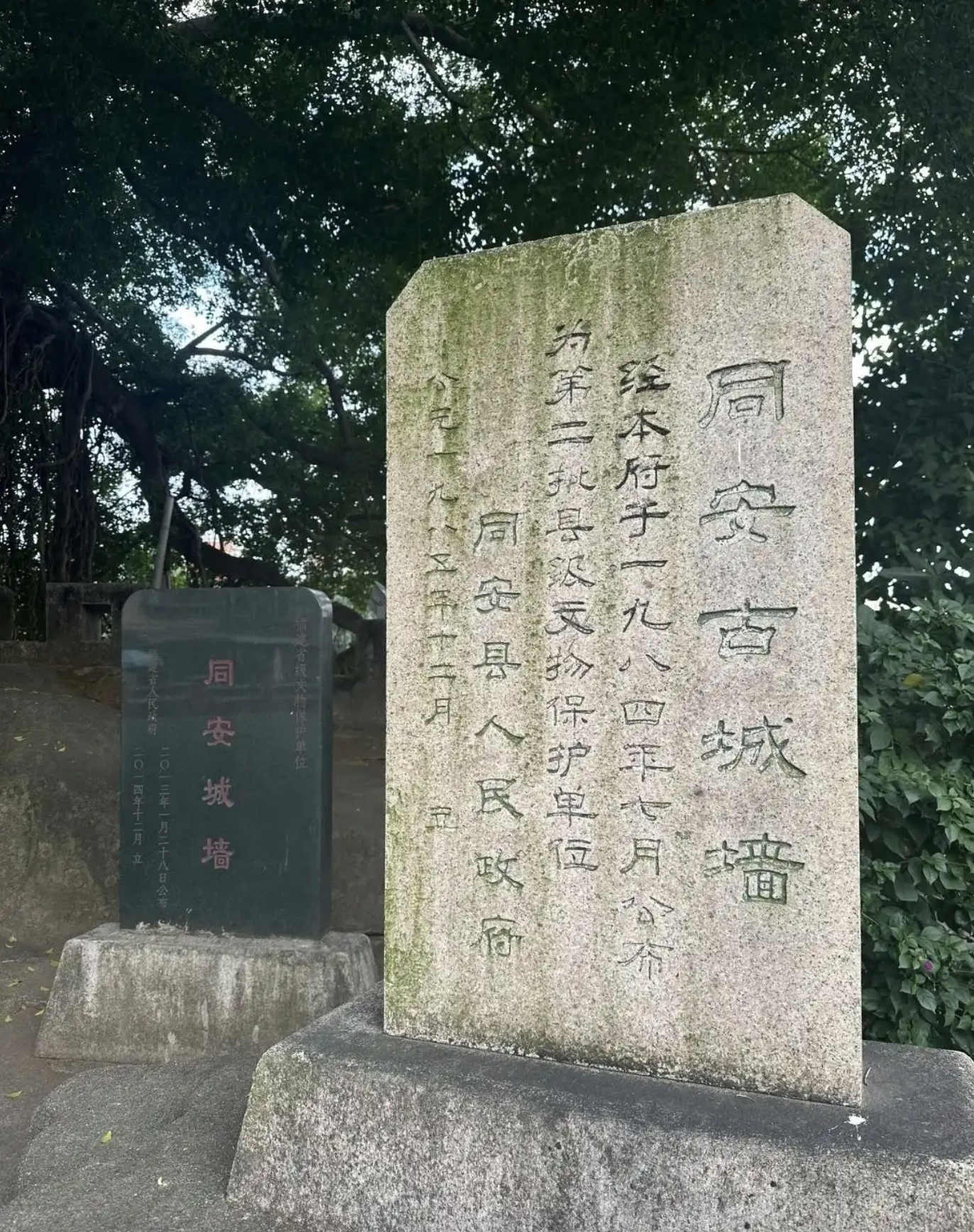 厦门同安城墙遗址，始建于南宋绍兴时期，现残存的城墙长约450米