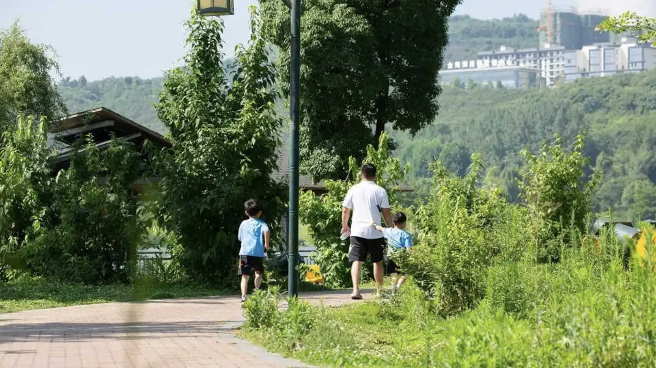 缙云河阳古民居：千年古村宗族传承探秘